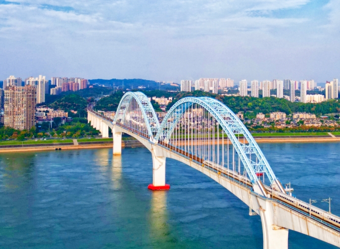 向光而行，花開滿途